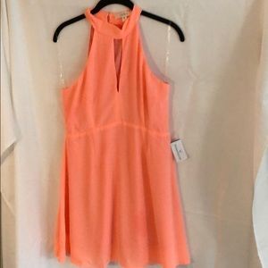 New with Tags coral Skater Dress